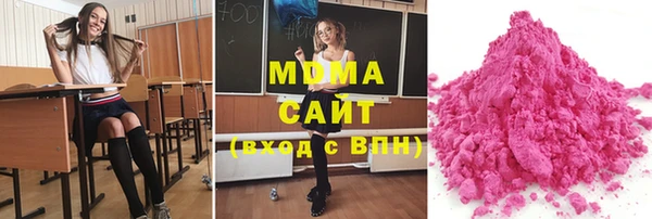 молекула духа Богданович