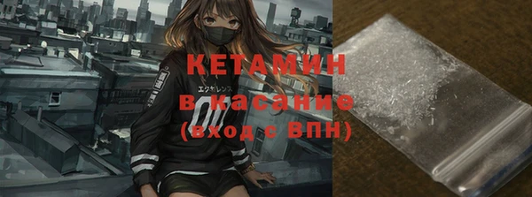 молекула духа Богданович