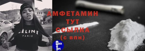 молекула духа Богданович