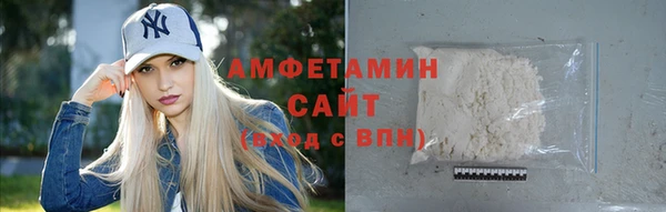 молекула духа Богданович