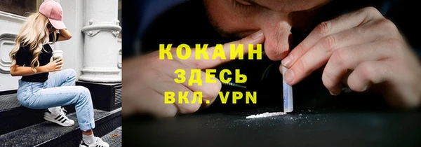 молекула духа Богданович