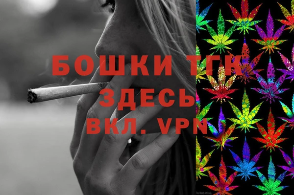 молекула духа Богданович
