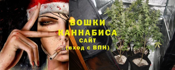 молекула духа Богданович