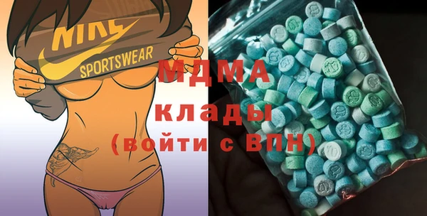 молекула духа Богданович