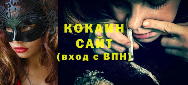 молекула духа Богданович