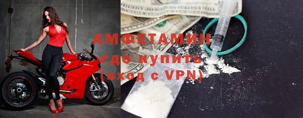 молекула духа Богданович