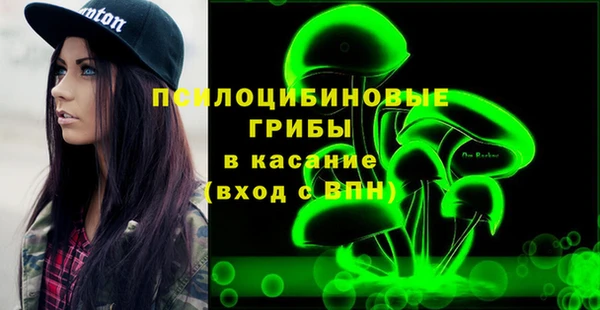 молекула духа Богданович