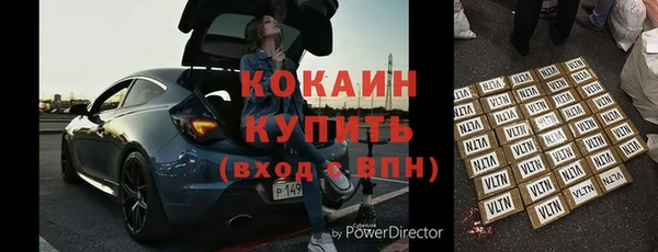 молекула духа Богданович