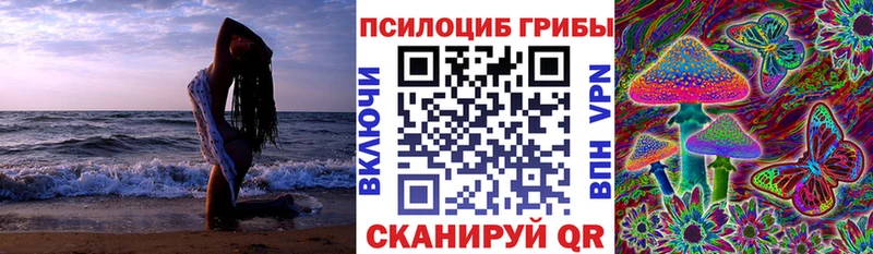 ссылка на мегу ССЫЛКА  Красноярск  Галлюциногенные грибы GOLDEN TEACHER 
